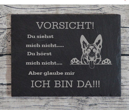 Hund Warnschild Türschild Tor Motive wählbar