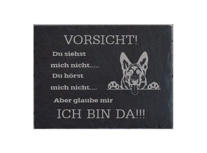 Hund Warnschild Türschild Tor Motive wählbar